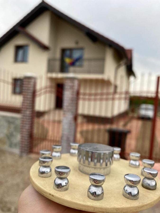 Brancusiana Apartment Targu Jiu Bagian luar foto