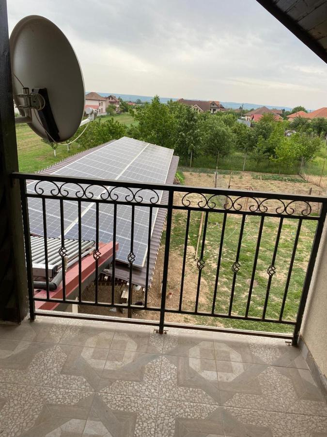 Brancusiana Apartment Targu Jiu Bagian luar foto